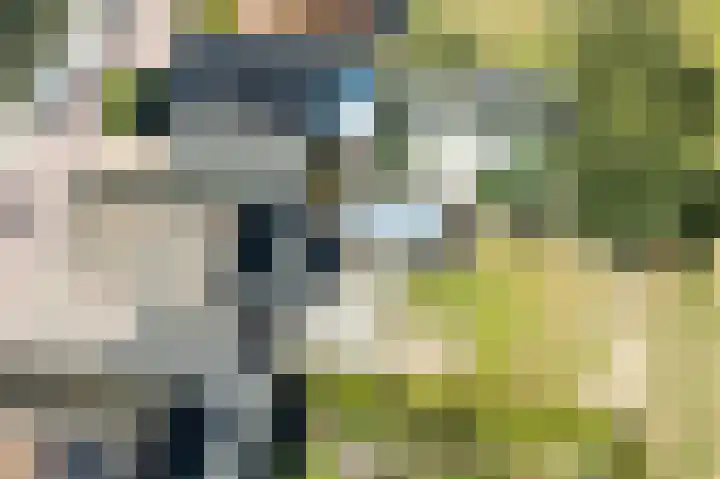 Bernhardstraat 41 Melissant thumbnail 37