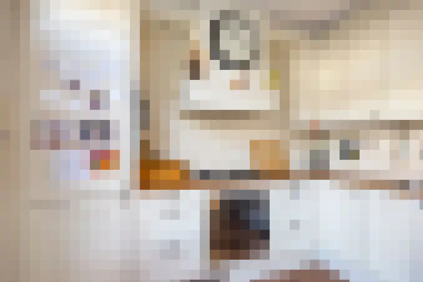 Bernhardstraat 46 Numansdorp thumbnail 10