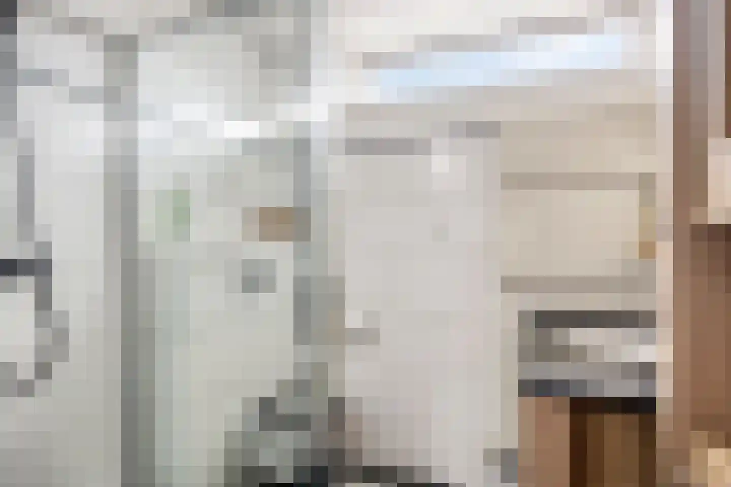 Bernhardstraat 46 Numansdorp thumbnail 24