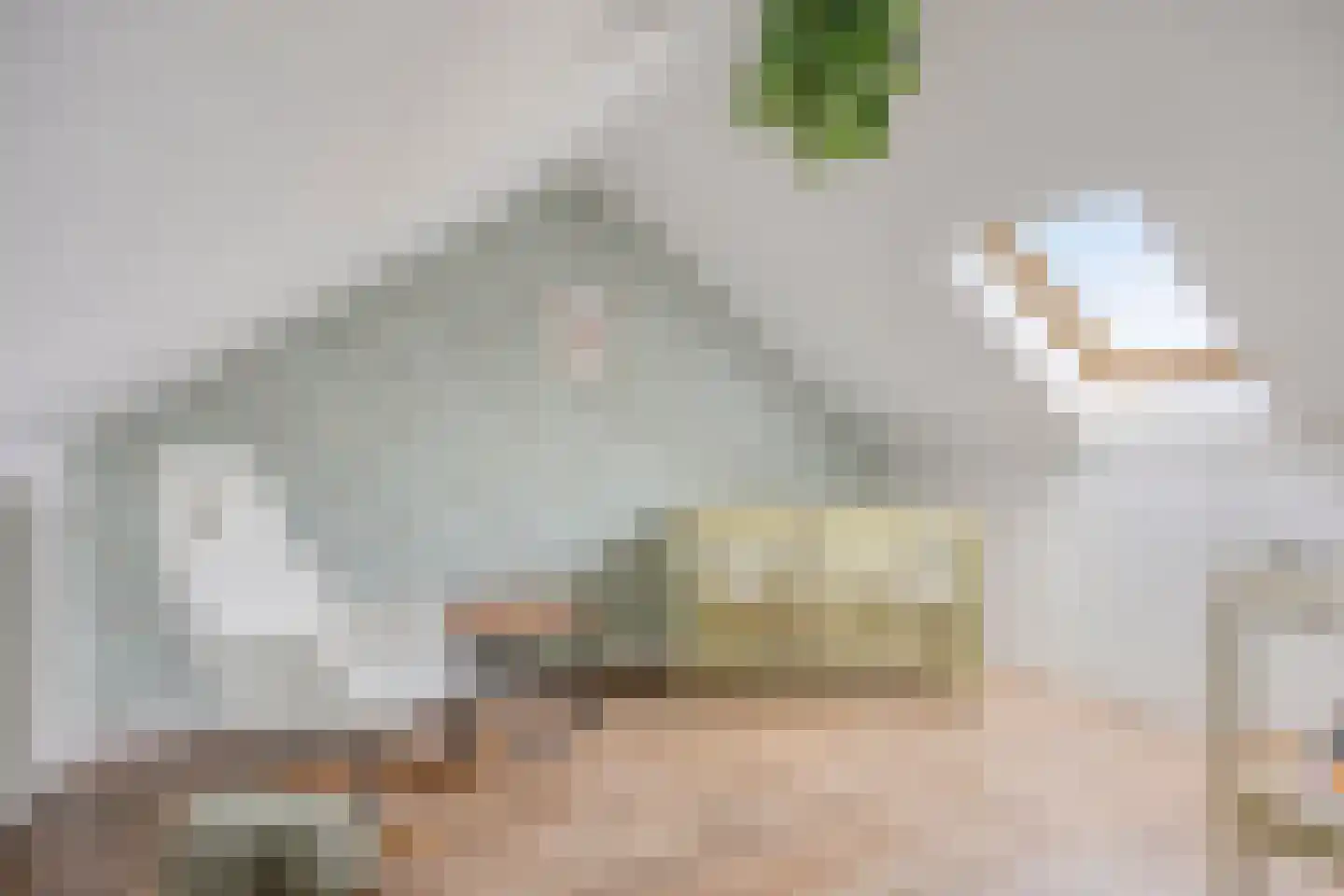 Bernhardstraat 46 Numansdorp thumbnail 29