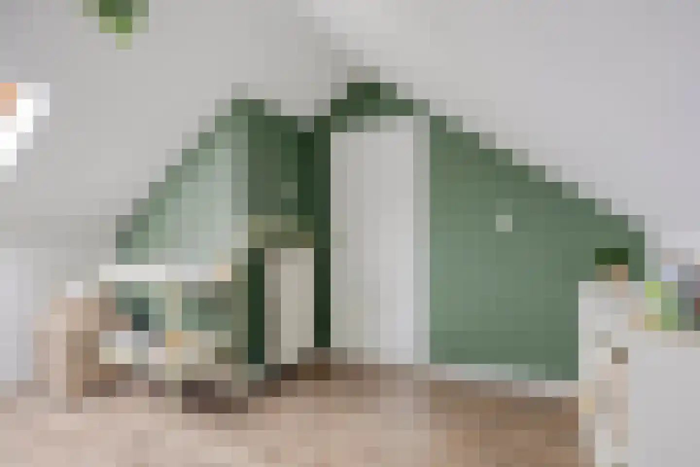 Bernhardstraat 46 Numansdorp thumbnail 30