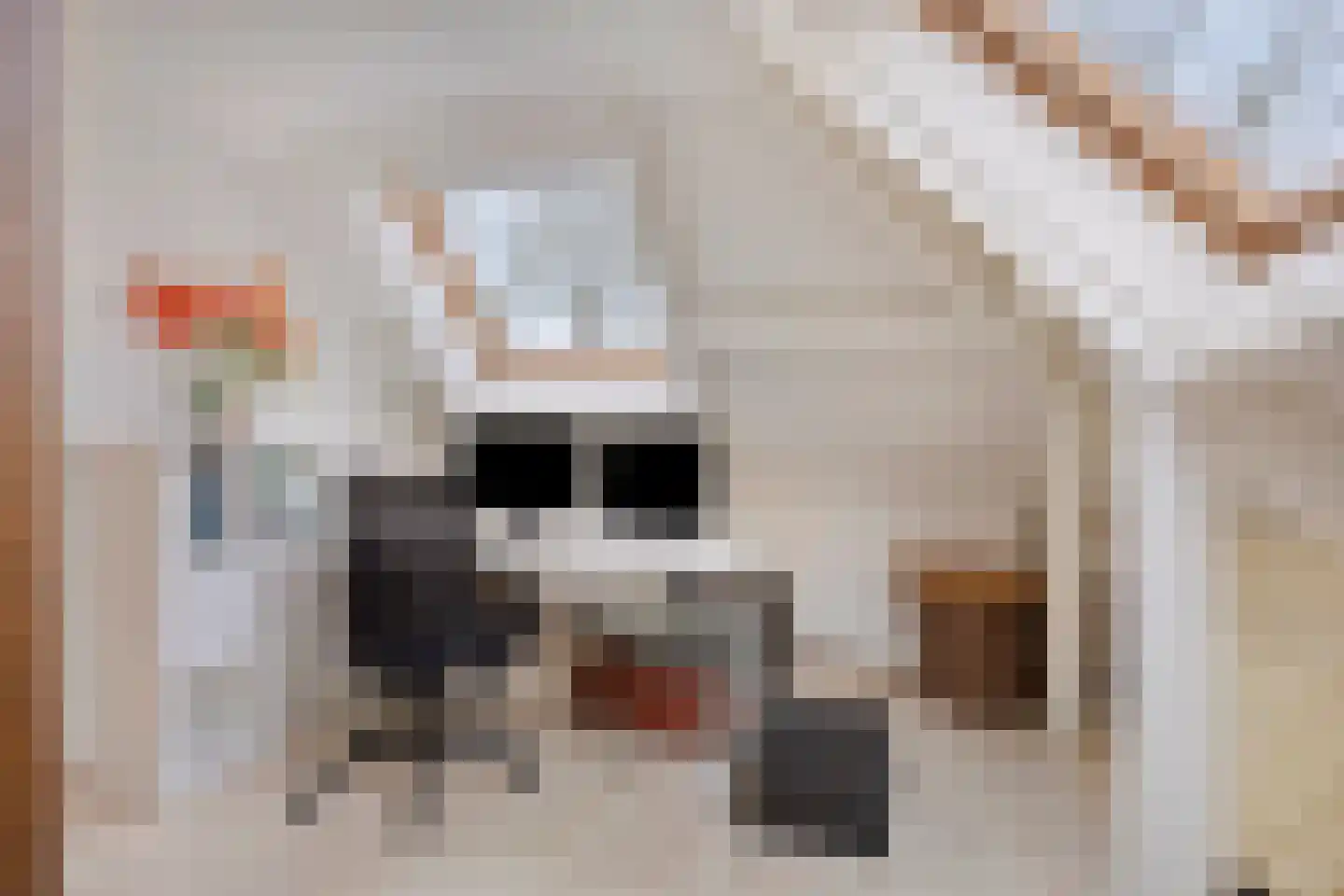Bernhardstraat 5 Heeswijk-Dinther thumbnail 33
