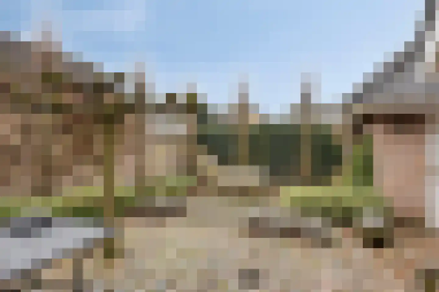 Bernhardstraat 5 Heeswijk-Dinther thumbnail 36