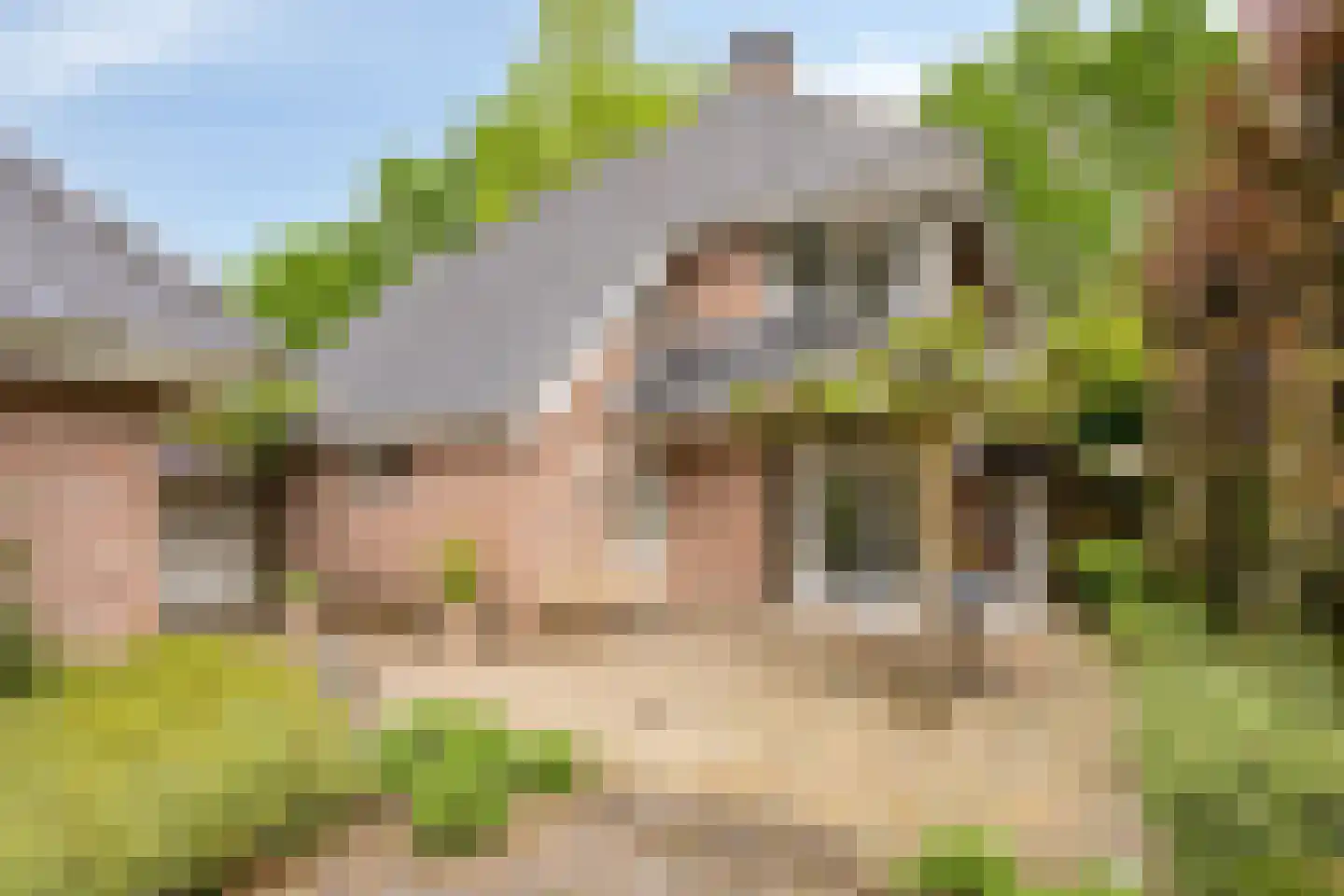 Bernhardstraat 5 Heeswijk-Dinther thumbnail 4