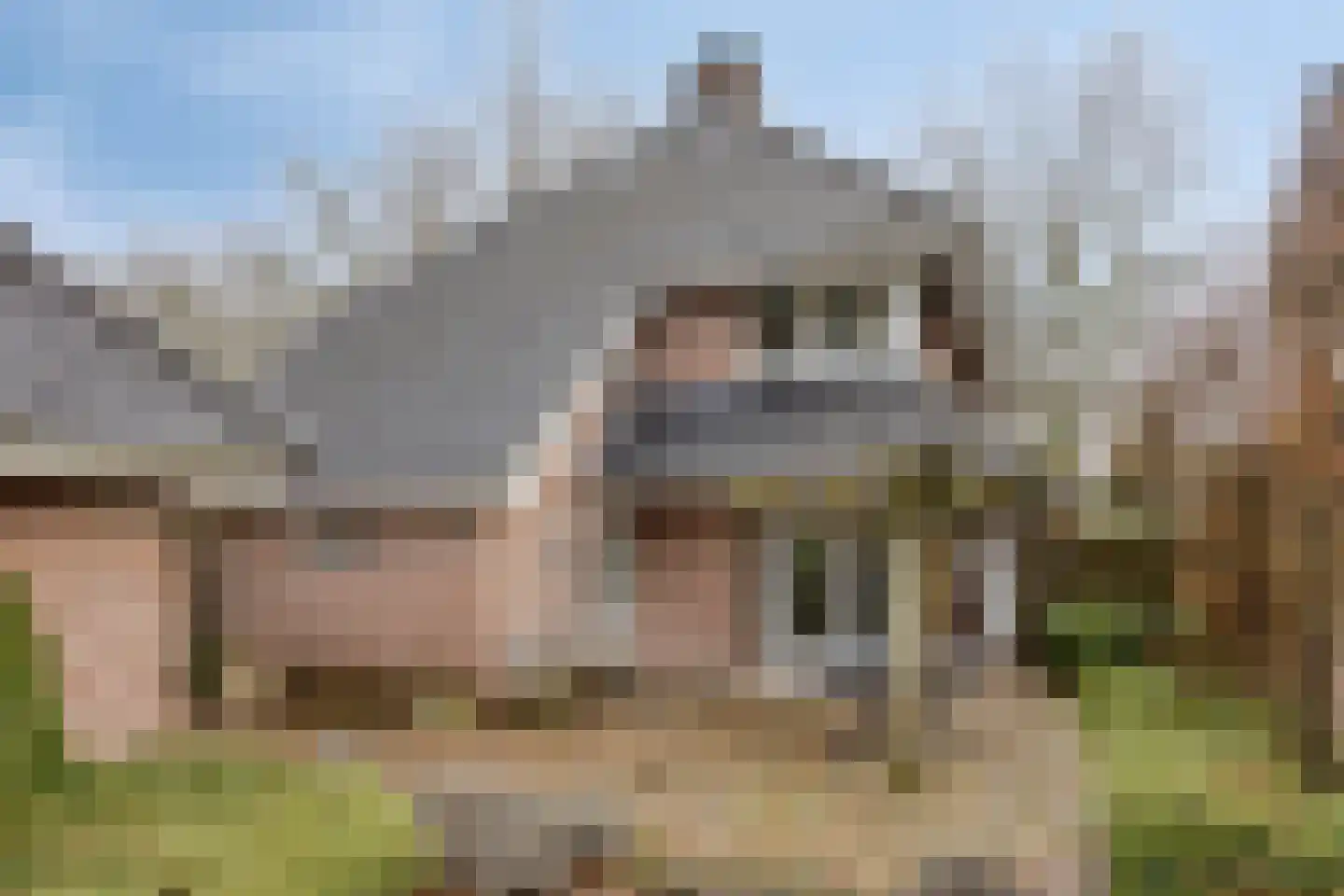 Bernhardstraat 5 Heeswijk-Dinther thumbnail 4