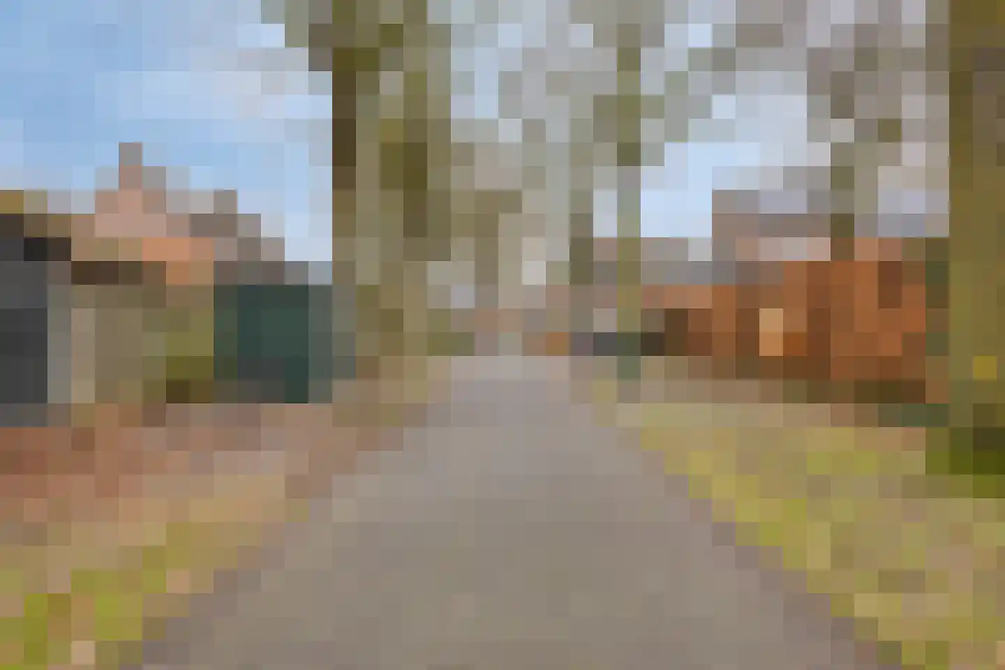 Bernhardstraat 5 Heeswijk-Dinther thumbnail 41