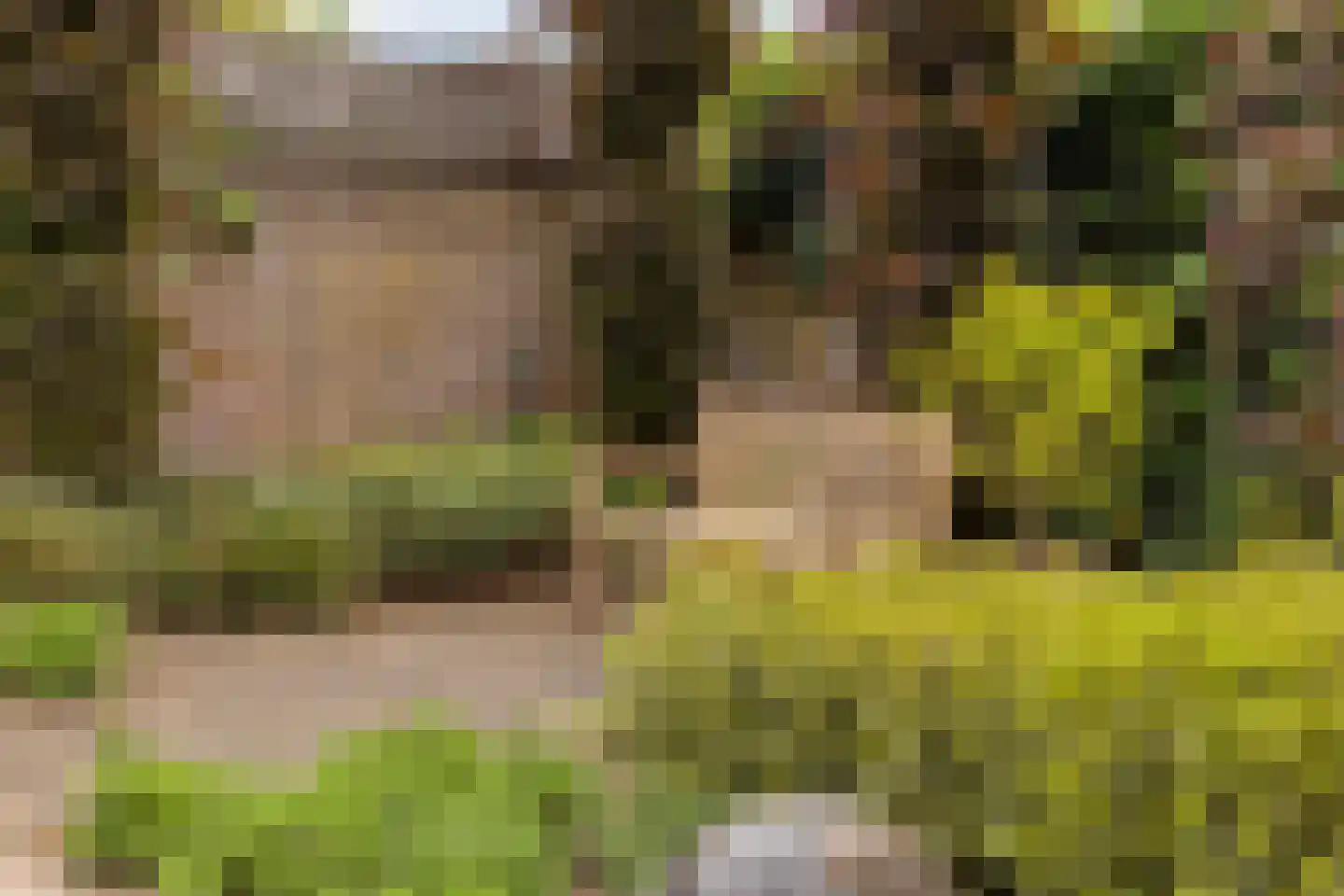 Bernhardstraat 5 Heeswijk-Dinther thumbnail 42