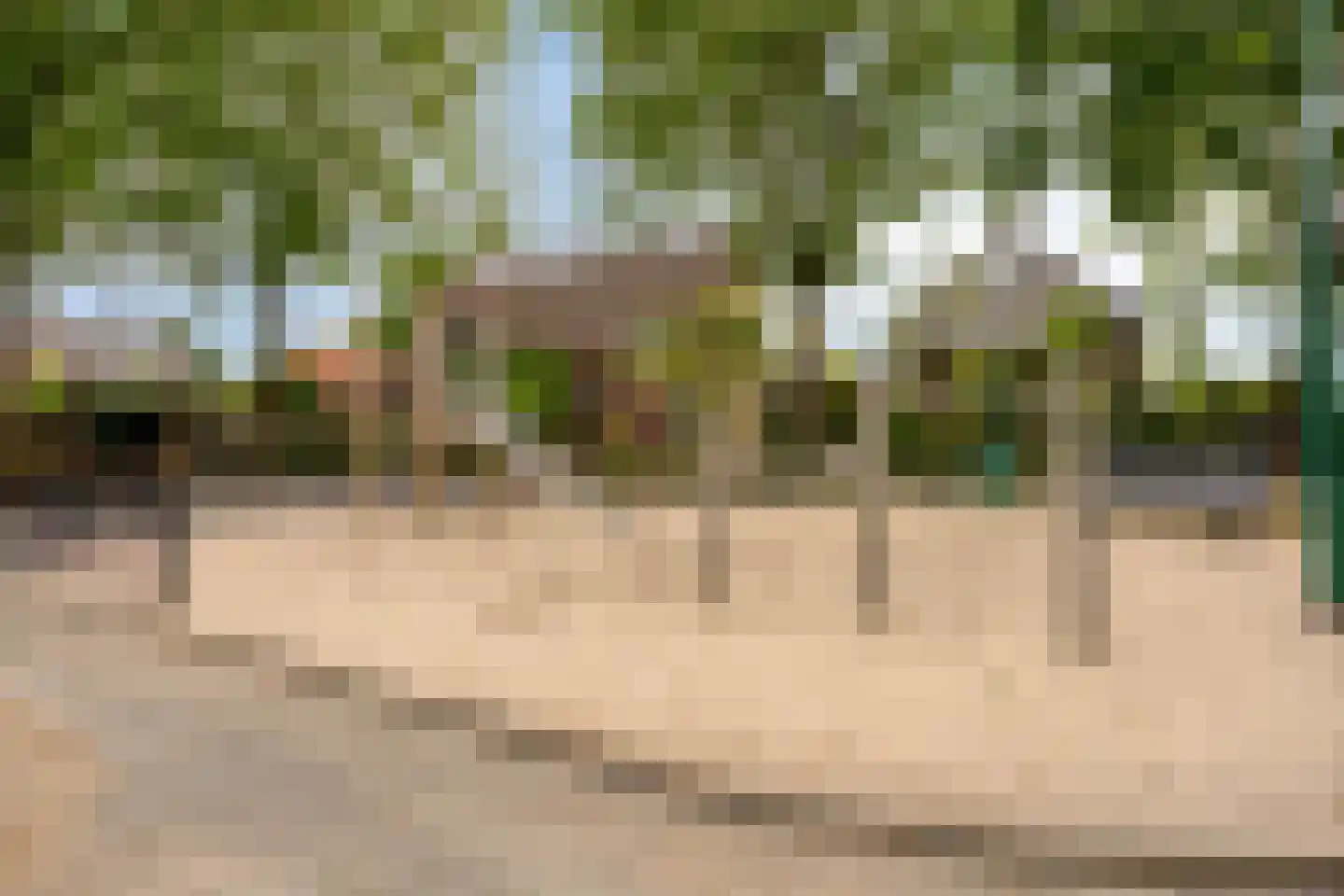 Bernhardstraat 5 Heeswijk-Dinther thumbnail 48