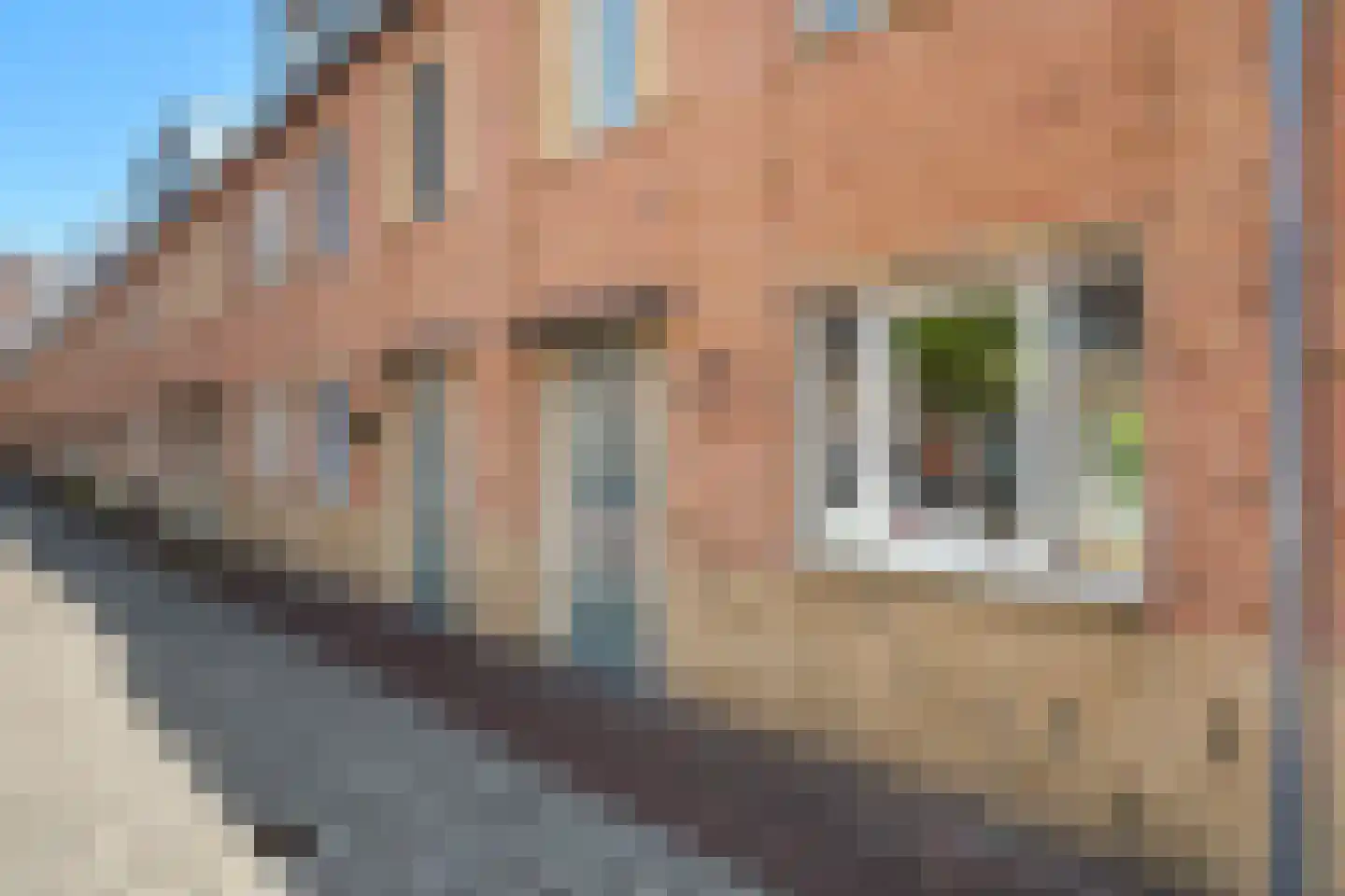 Bernhardstraat 5 Leiden thumbnail 5