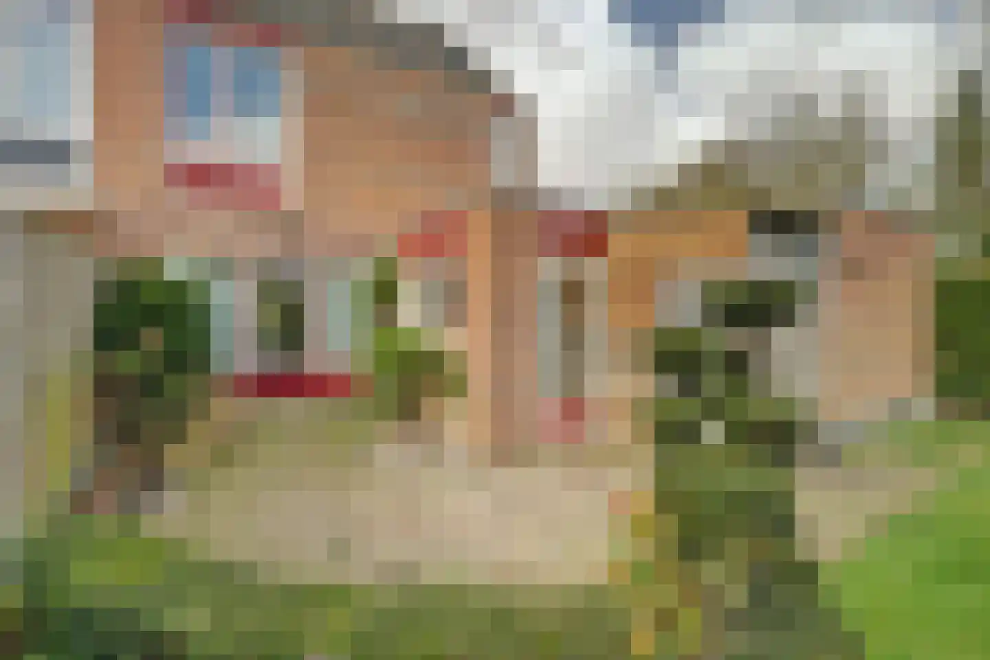 Bernhardstraat 51 Burgh-Haamstede thumbnail 28