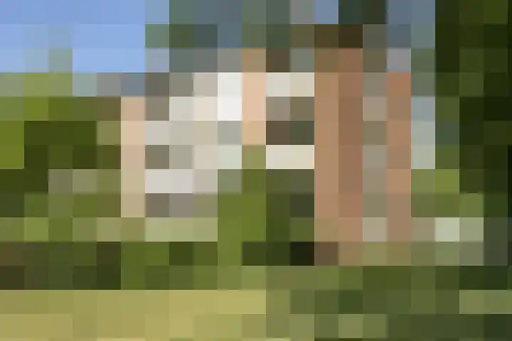 Bernhardstraat 53 Wageningen thumbnail 4