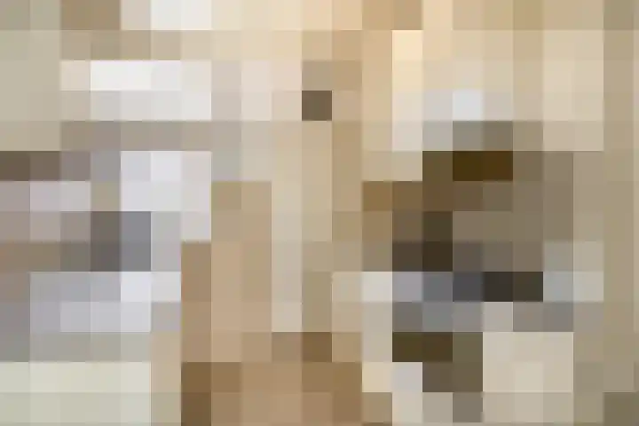 Bernhardstraat 56 Melissant thumbnail 10