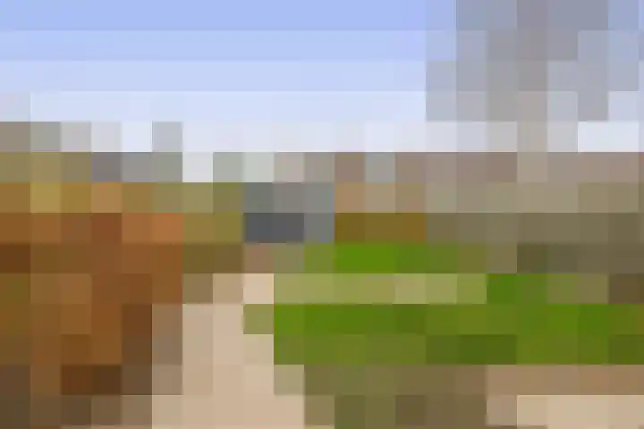 Bernhardstraat 56 Melissant thumbnail 20
