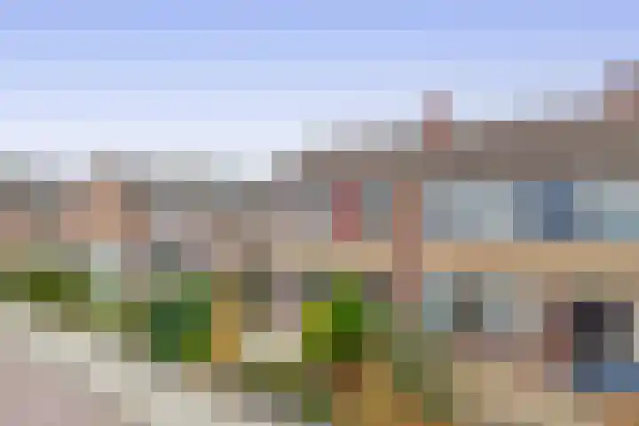 Bernhardstraat 56 Melissant thumbnail 5