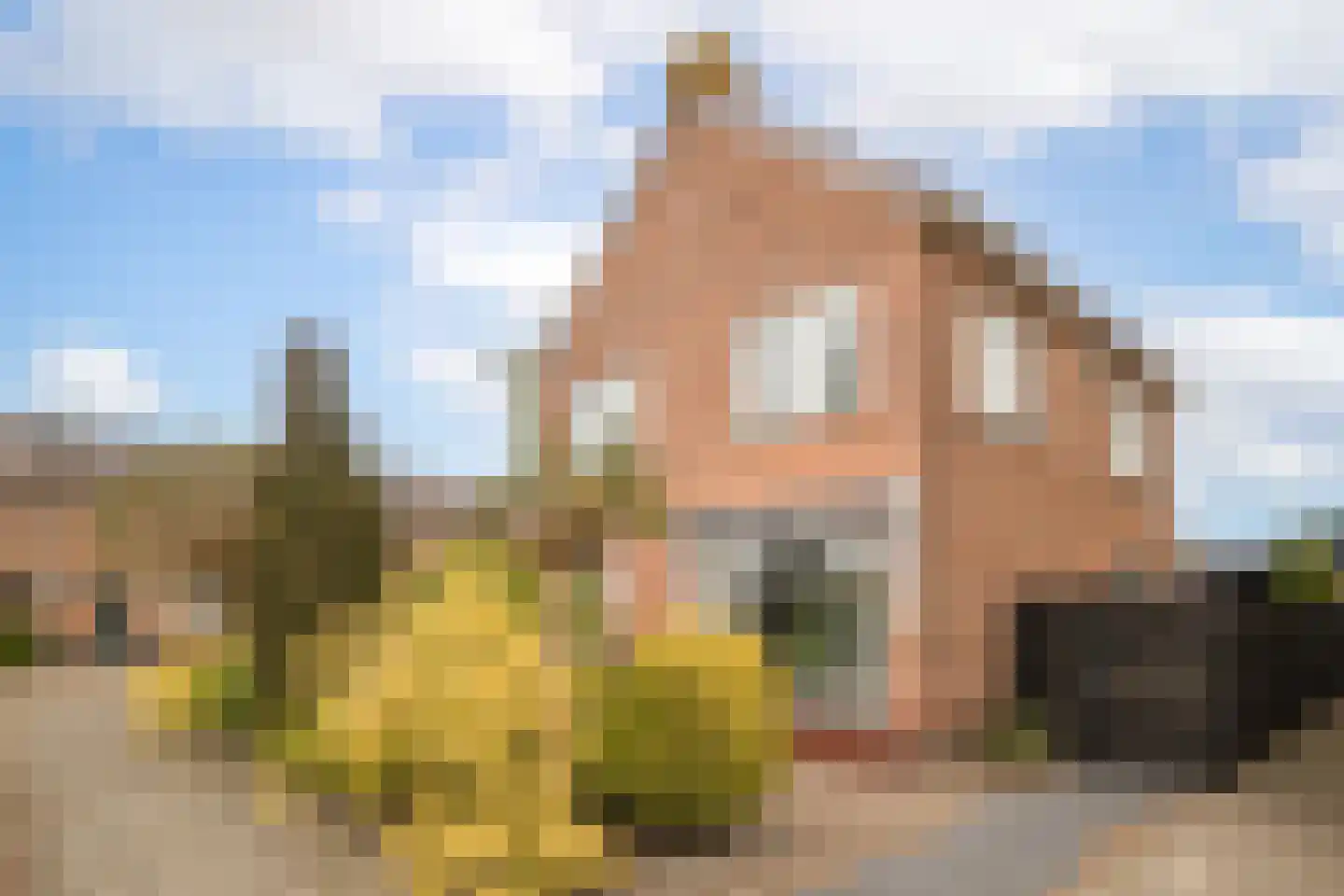 Bernhardstraat 59 Hoogkarspel thumbnail 41