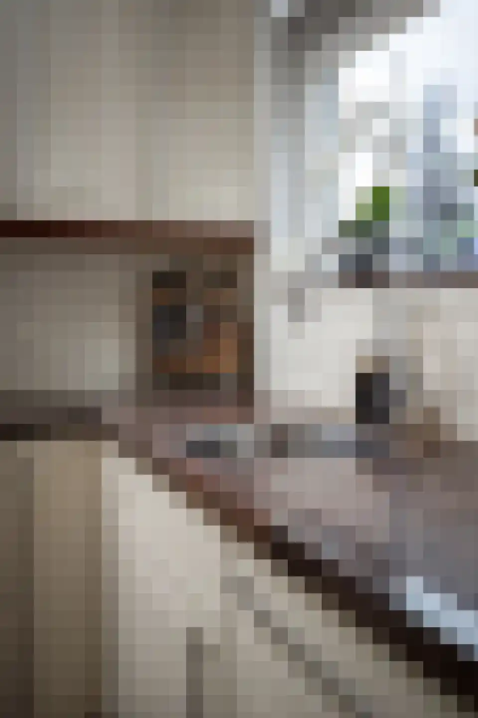 Bernhardstraat 59 Hoogkarspel thumbnail 50