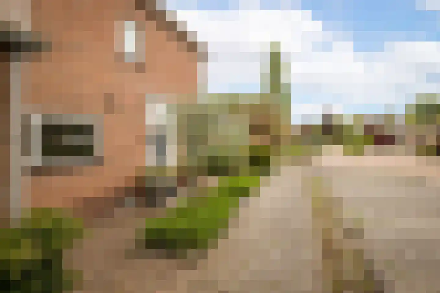 Bernhardstraat 59 Hoogkarspel thumbnail 6