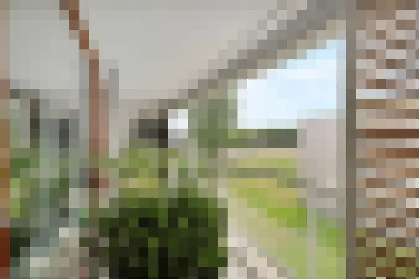 Bernhardstraat 64 Schagen thumbnail 36