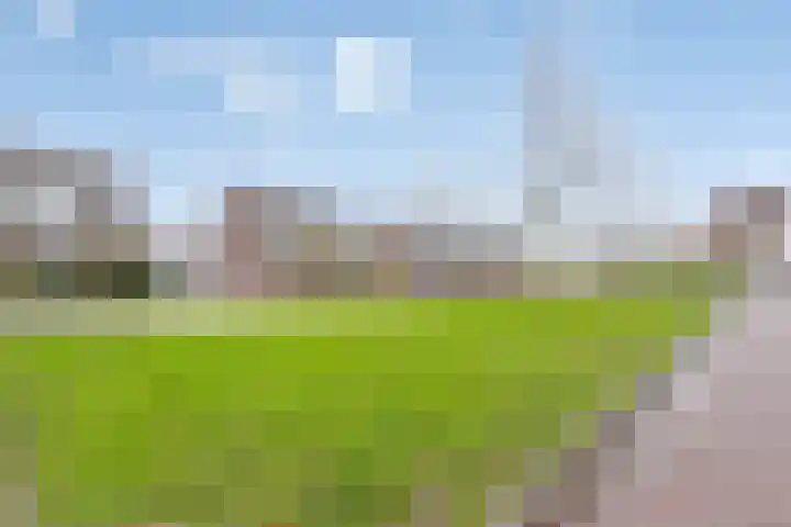 Bernhardstraat 67 Westdorpe thumbnail 32