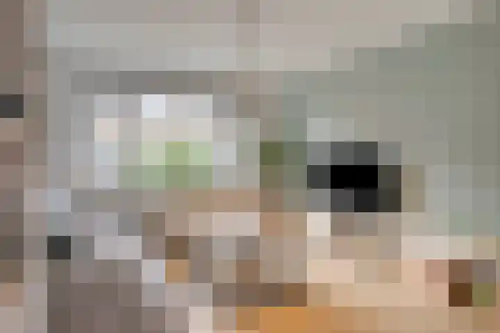 Bernhardstraat 7 Terneuzen thumbnail 5