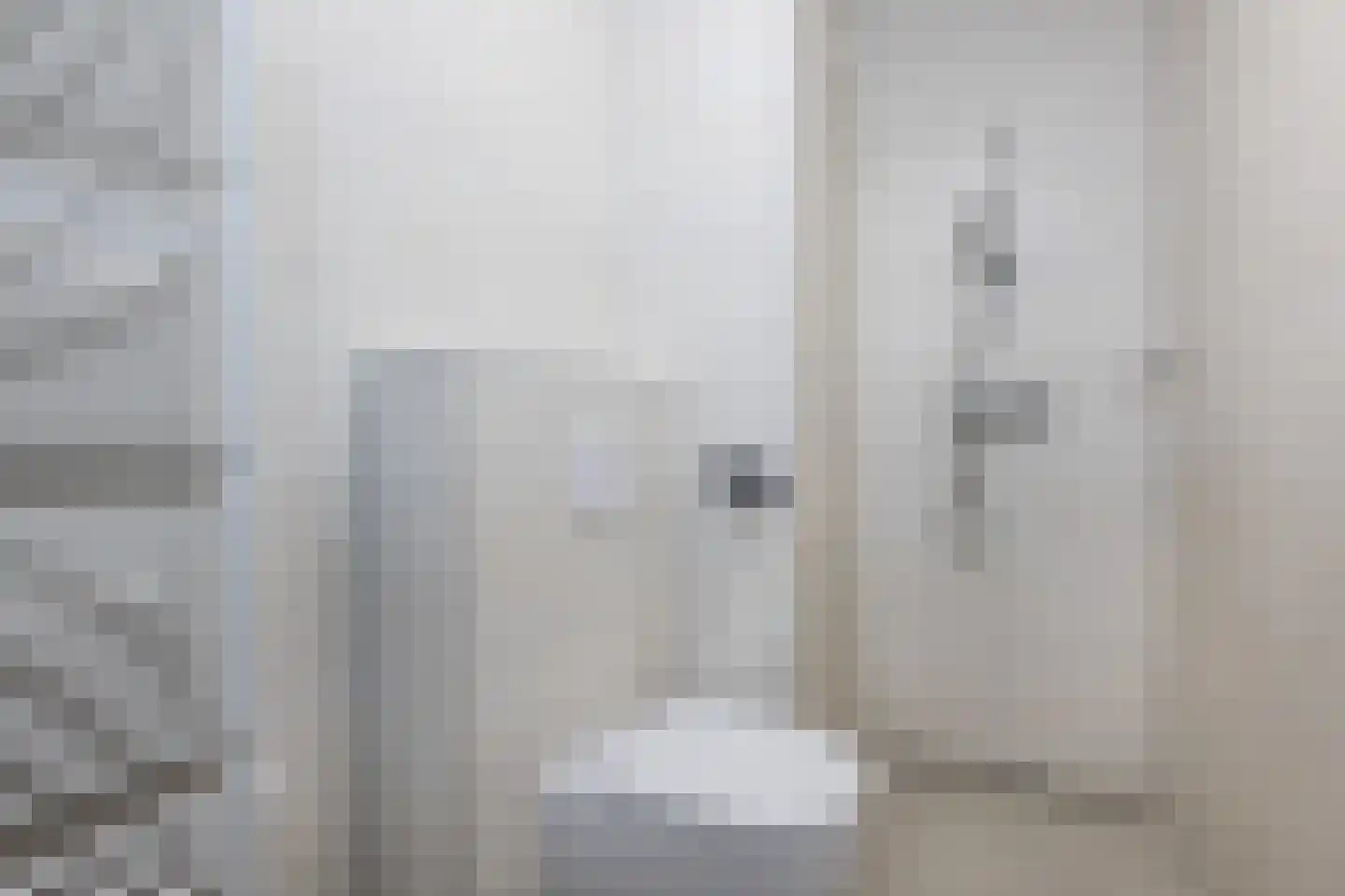 Bernhardstraat 77 Melissant thumbnail 16
