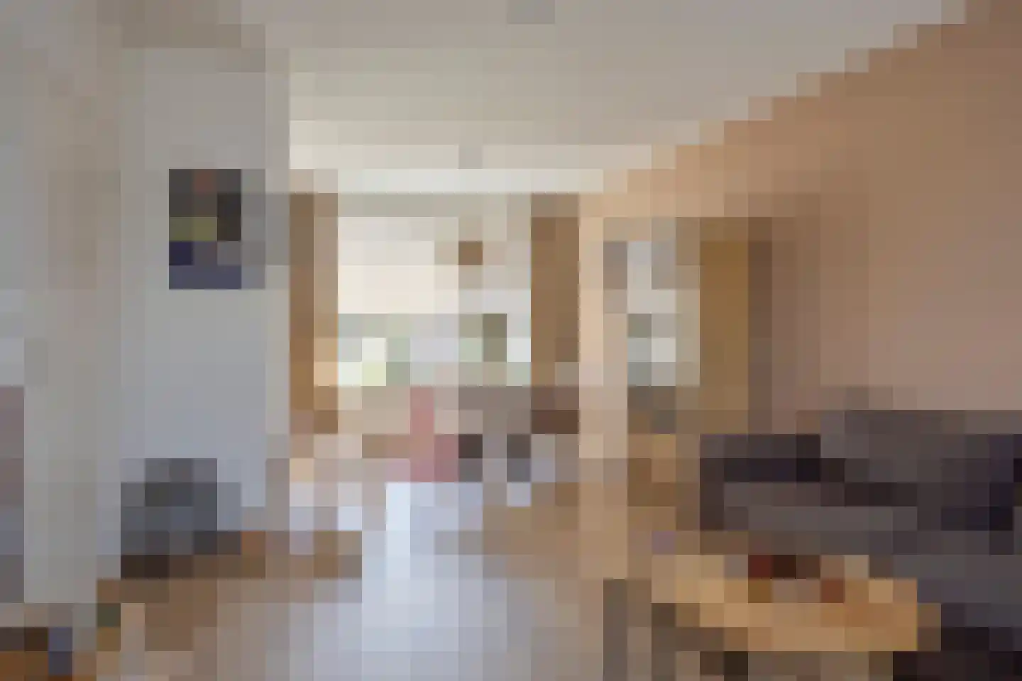 Bernhardstraat 77 Westdorpe thumbnail 13