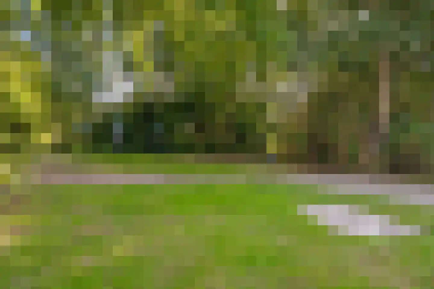 Bernhardstraat 77 Westdorpe thumbnail 32