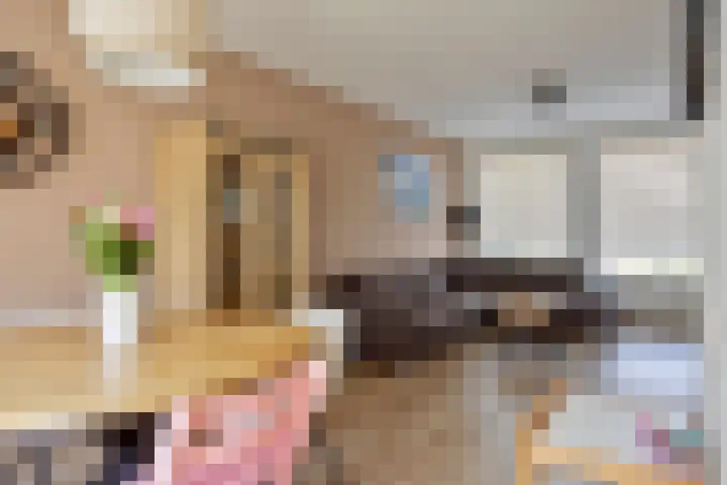 Bernhardstraat 77 Westdorpe thumbnail 4