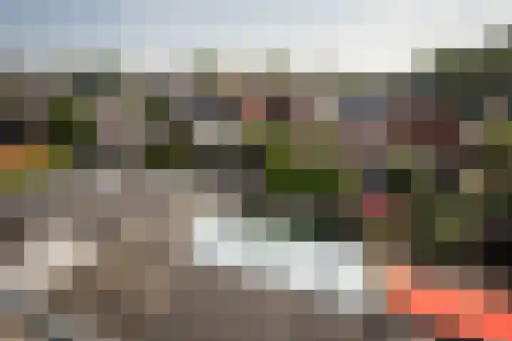 Bernhardstraat 79 Hoogkarspel thumbnail 31