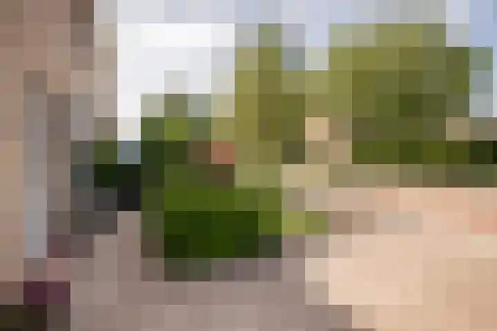 Bernhardstraat 79 Hoogkarspel thumbnail 7