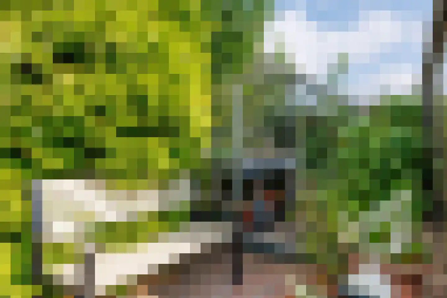 Bernhardstraat 8 Beuningen Gld thumbnail 50