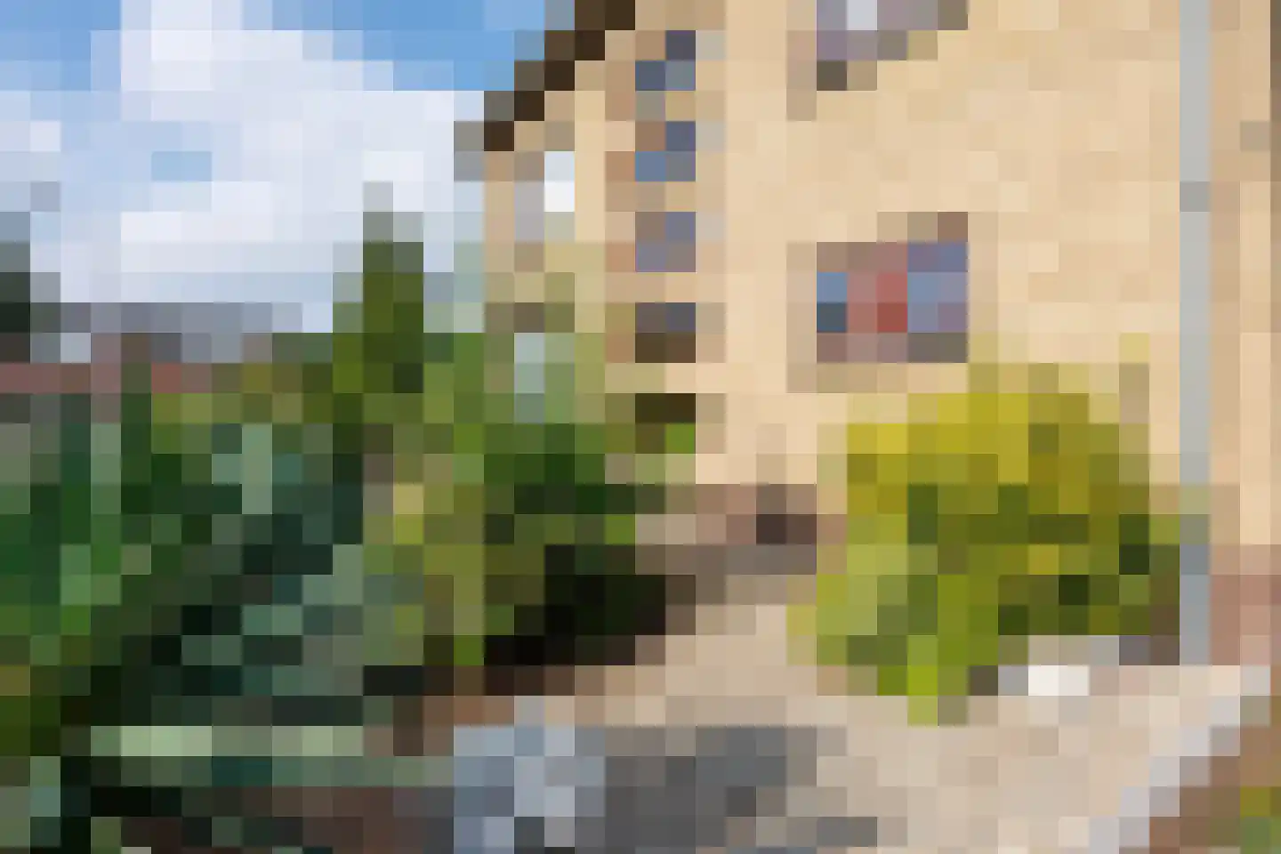 Bernhardstraat 8 Beuningen Gld thumbnail 63