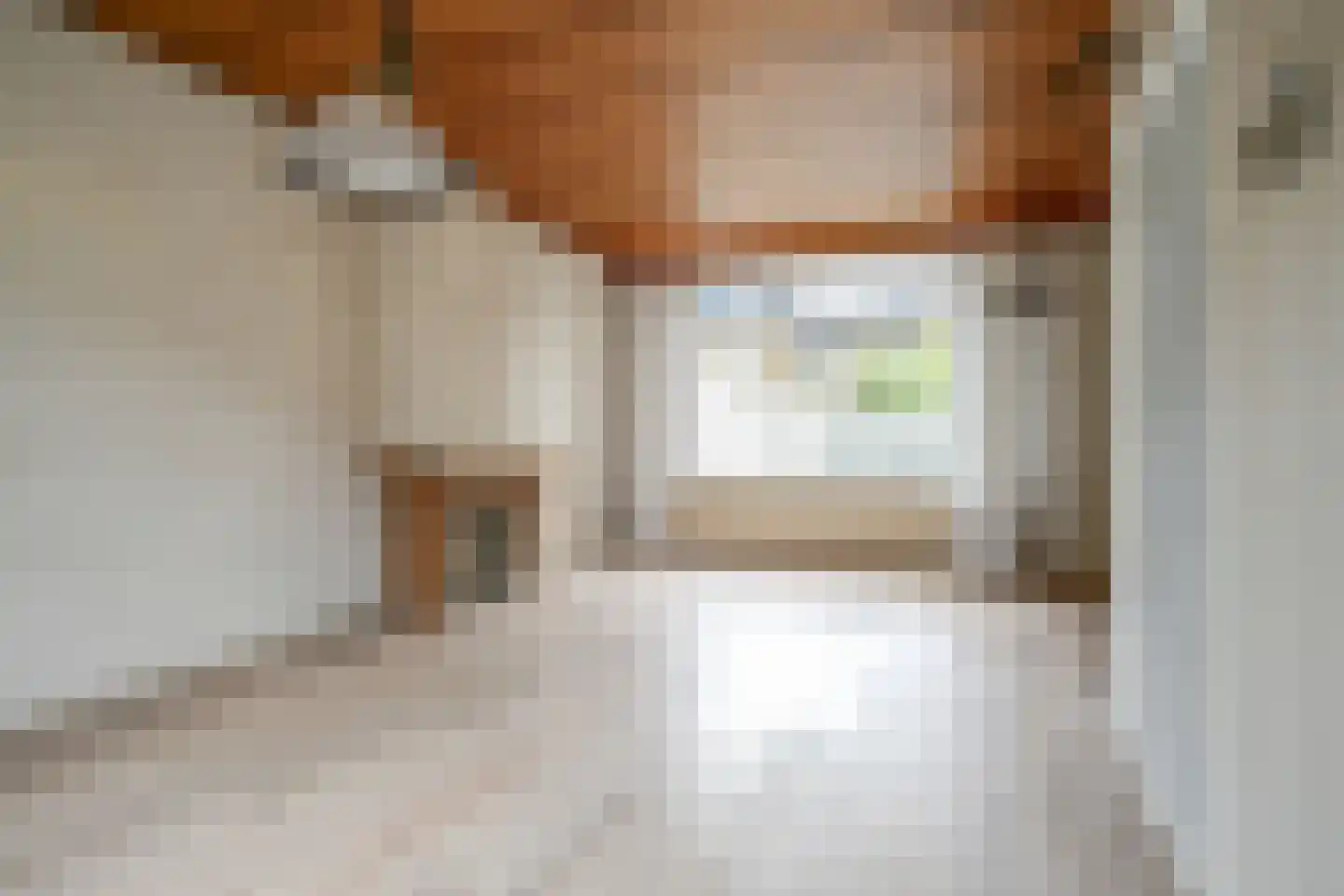 Bernhardstraat 8 Bleiswijk thumbnail 10