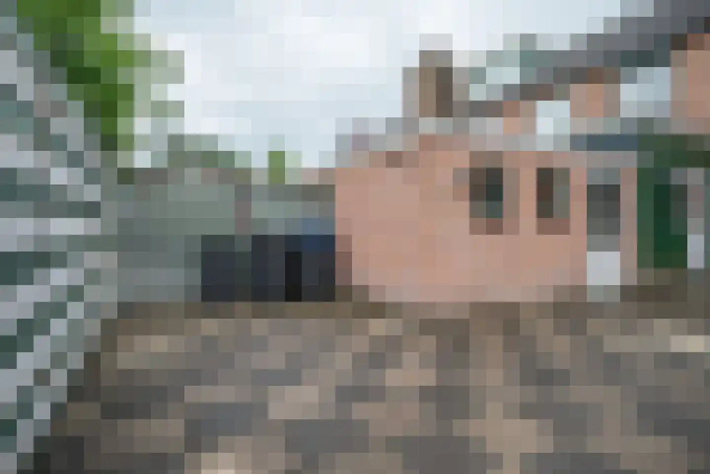 Bernhardstraat 8 Bleiswijk thumbnail 33
