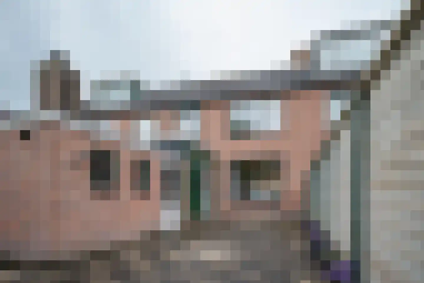 Bernhardstraat 8 Bleiswijk thumbnail 4