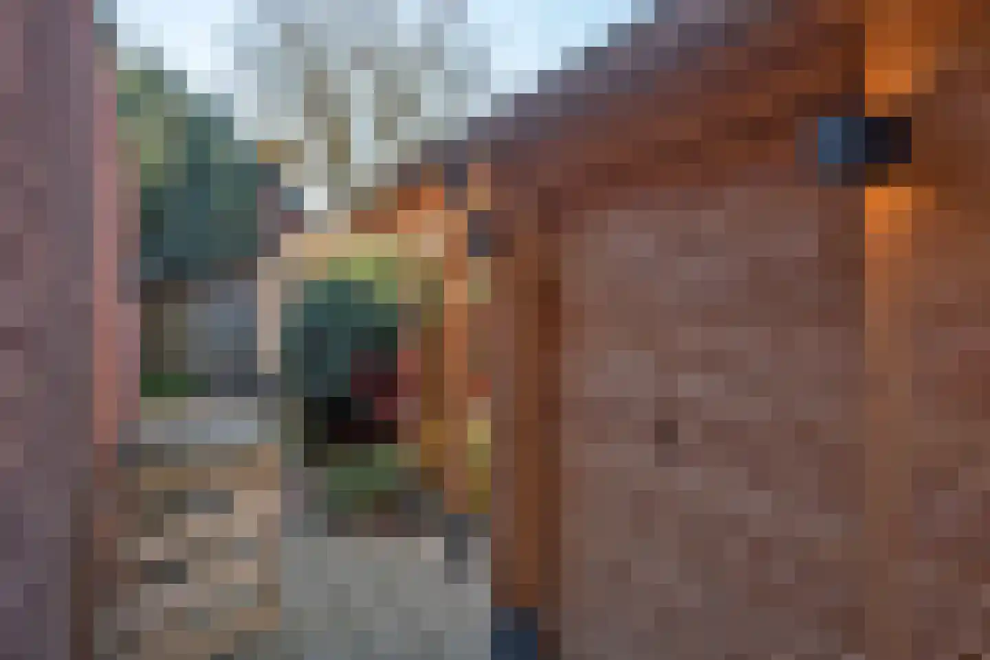 Bernhardstraat 8 Delden thumbnail 20