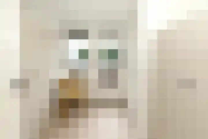 Bernhardstraat 8 Geleen thumbnail 17