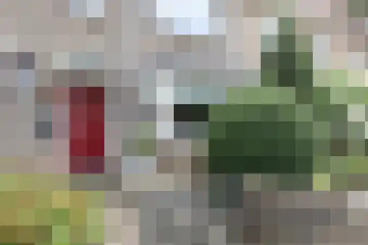 Bernhardstraat 8 Geleen thumbnail 23