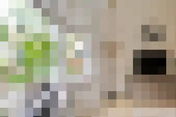 Bernhardstraat 8 Geleen thumbnail 5