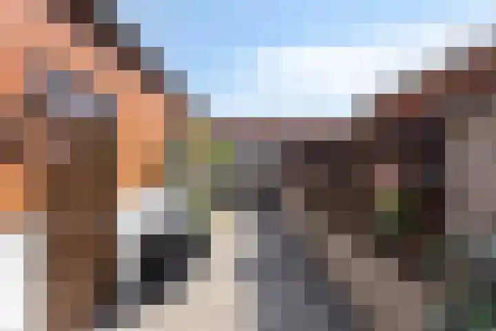 Bernhardstraat 8 Terneuzen thumbnail 27