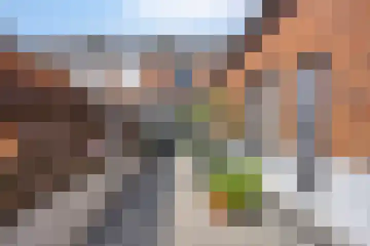 Bernhardstraat 8 Terneuzen thumbnail 6