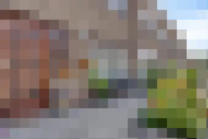 Bernhardstraat 8 Terneuzen thumbnail 8