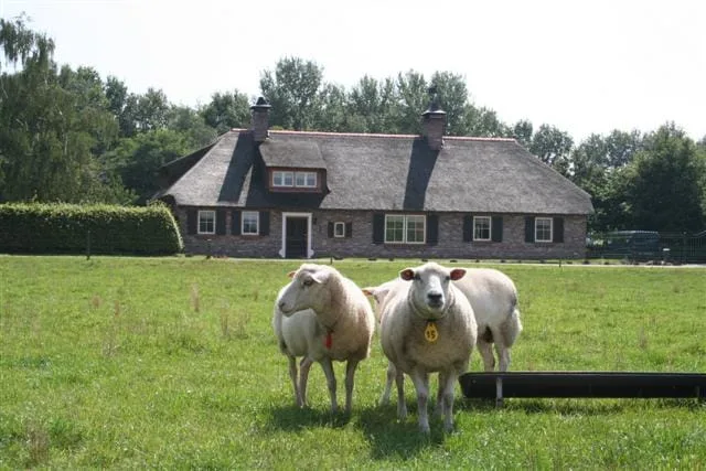 Kantoor foto van Bernheze Makelaars