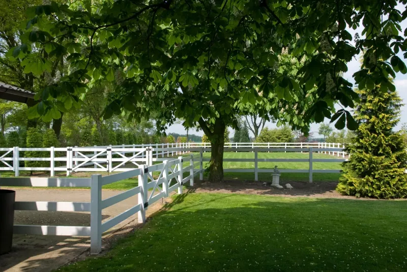 Photo de bureau de Bernheze Makelaars