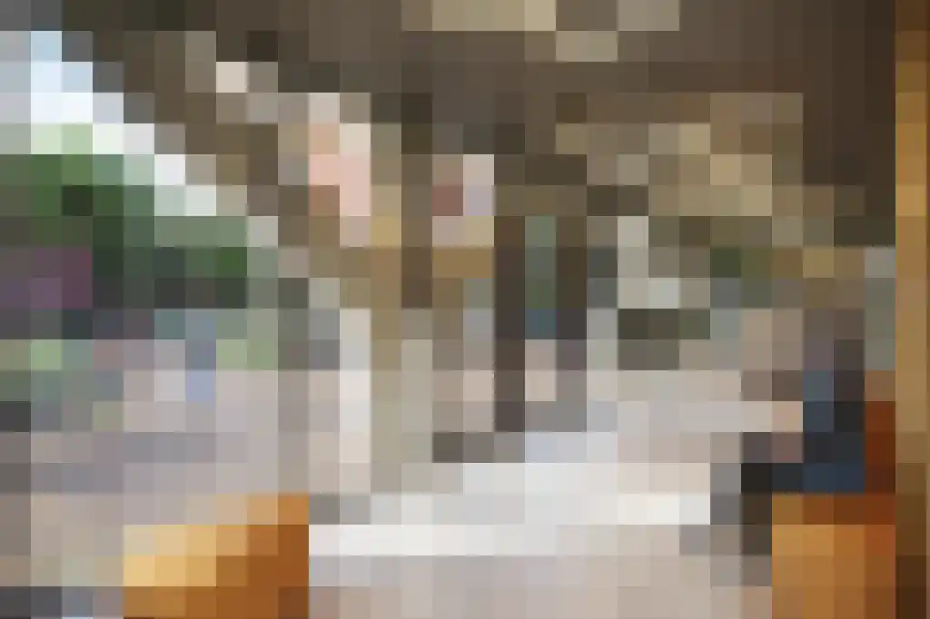 Berninistraat 444 Rotterdam thumbnail 37