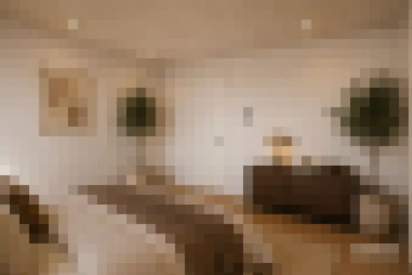 Berninistraat 524 Rotterdam thumbnail 30
