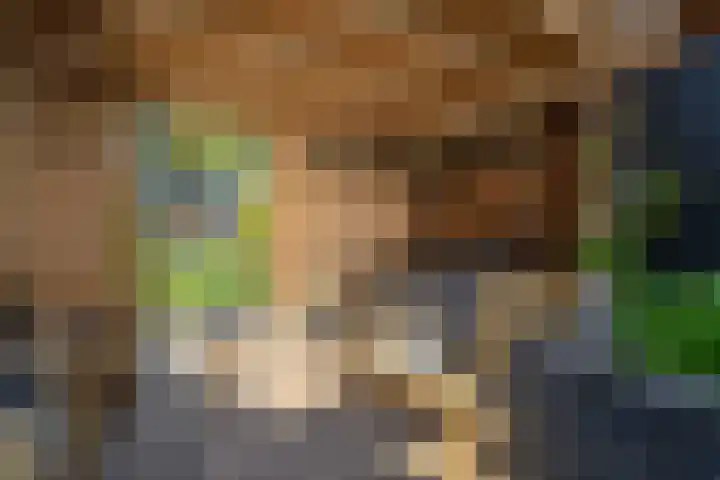 Berninkholthoek 43 Enschede thumbnail 33
