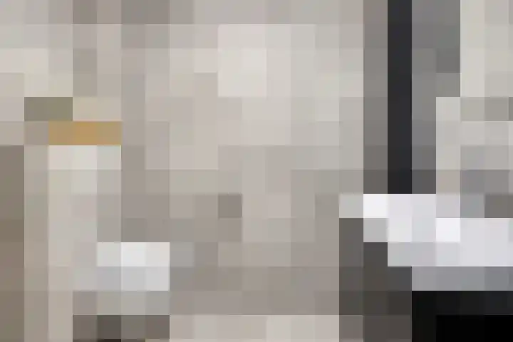 Berninkholthoek 44 Enschede thumbnail 18