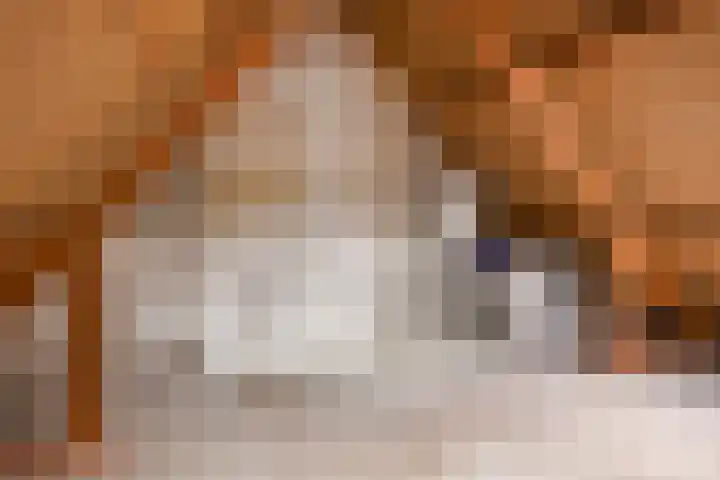 Berninkholthoek 44 Enschede thumbnail 23