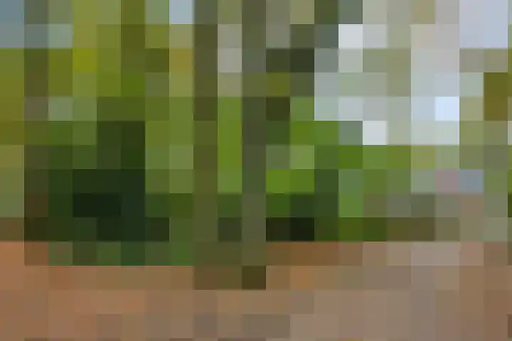 Berninkholthoek 44 Enschede thumbnail 31
